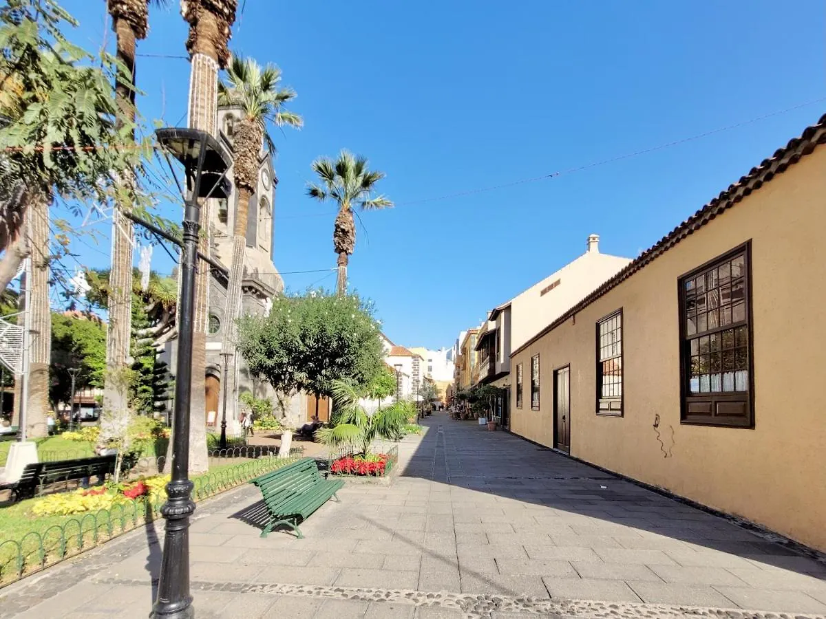 7 Esquivel Apartment Puerto de la Cruz  Spain